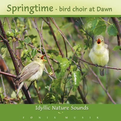 Springtime: Bird Choir at Dawn