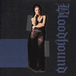 Bloodhound