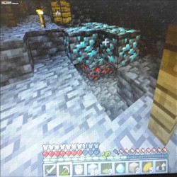 Minecraft Tribute