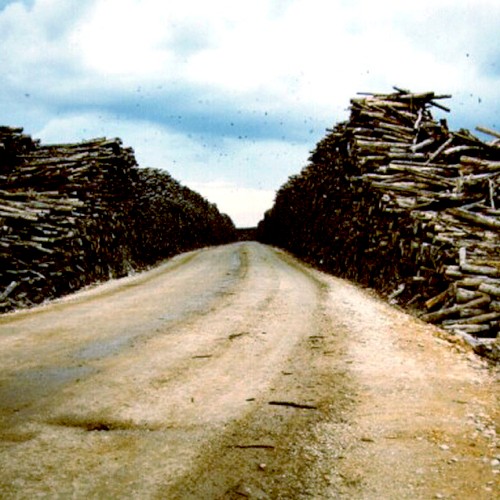 Coppice Halifax