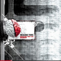 Brain: Right Side