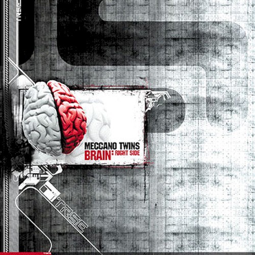 Brain: Right Side