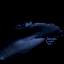 Hammerhead Change of Scenery