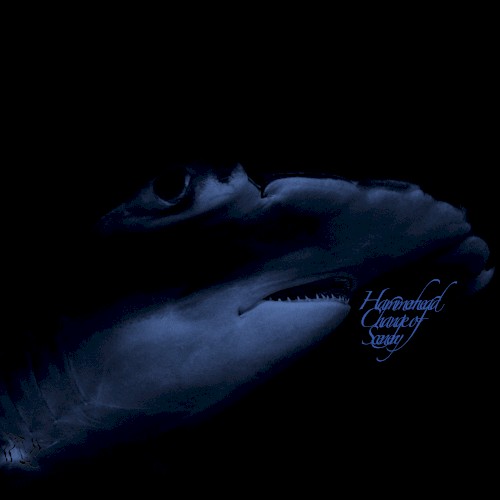 Hammerhead Change of Scenery