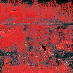 Concrete Winds
