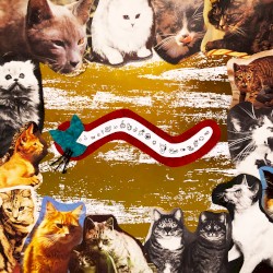 cat treats