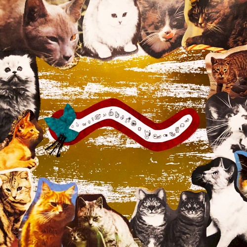 cat treats