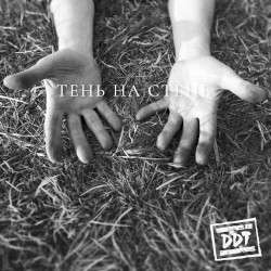 Тень на стене