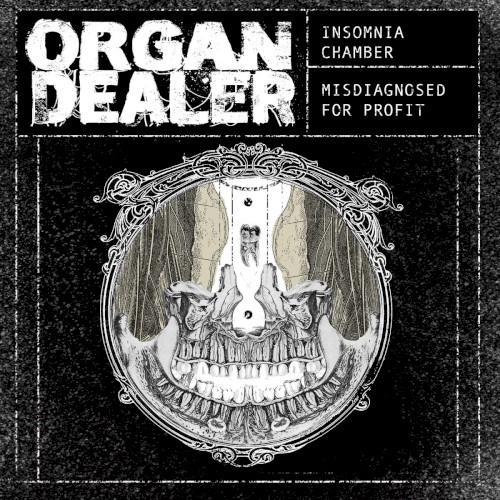 Insomnia Chamber