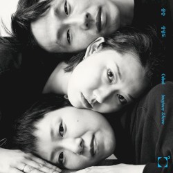 상상도