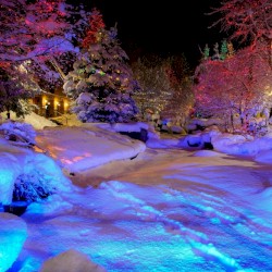 CHRISTMAS EUPHORIA