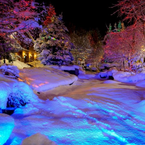 CHRISTMAS EUPHORIA