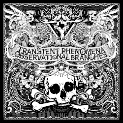 Transient Phenomena / Observational Branches