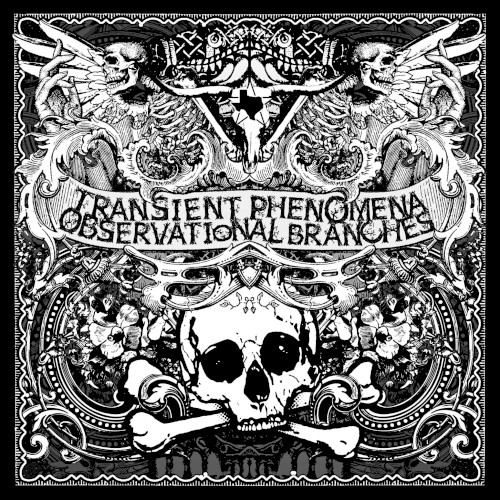 Transient Phenomena / Observational Branches