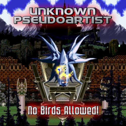 No Birds Allowed