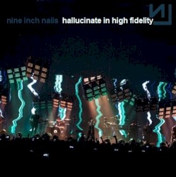 Hallucinate in High Fidelity (2013–2014)