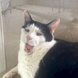 敏感