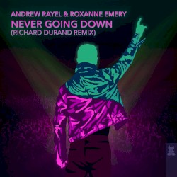 Never Going Down (Richard Durand remix)