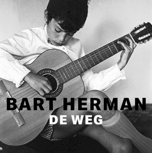 De weg