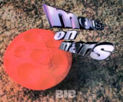 Bib