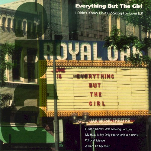 I Didn't Know I Was Looking for Love E.P.