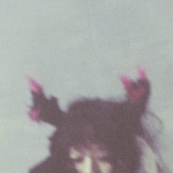 Forest & Horns