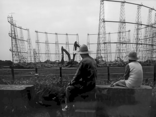 Elephant Cage