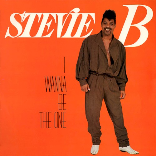 I Wanna Be The One