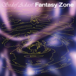 Fantasy Zone