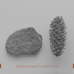 The Shape Leaves
