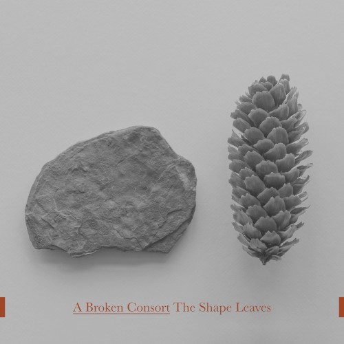The Shape Leaves