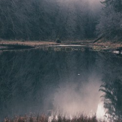Shelter