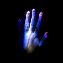 Desiderium