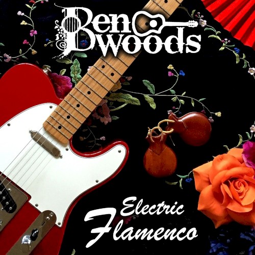 Electric Flamenco