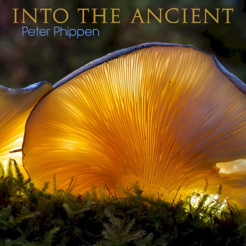 Into the Ancient