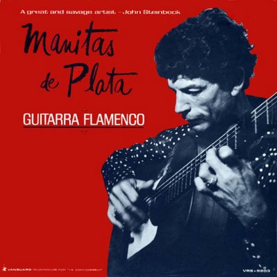 Guitarra Flamenco