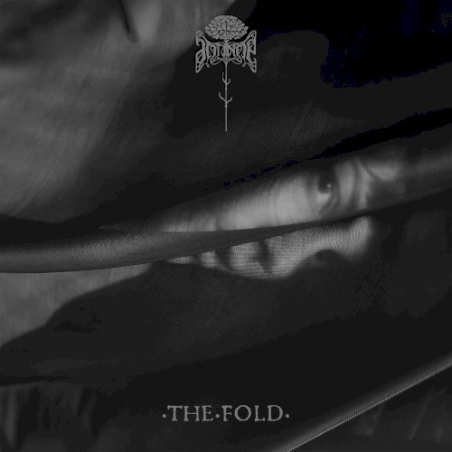 The Fold