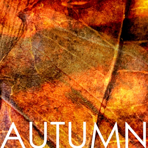 AUTUMN o5