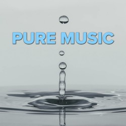 Pure Music