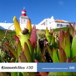 Basswerk Files #30