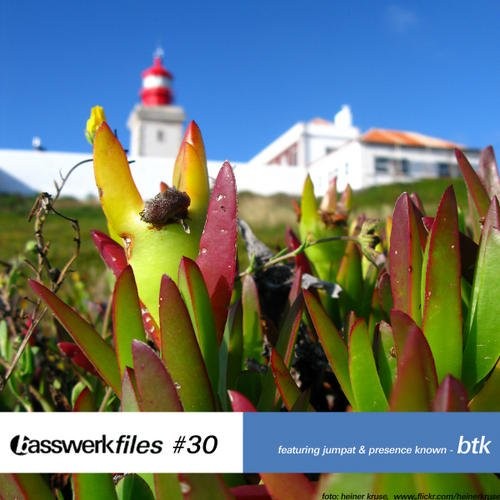 Basswerk Files #30