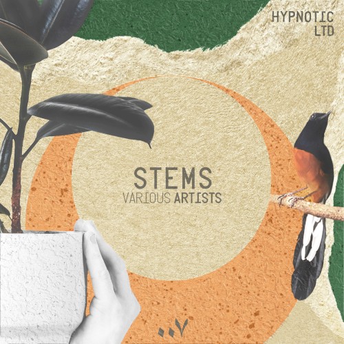 Stems, Vol. 1