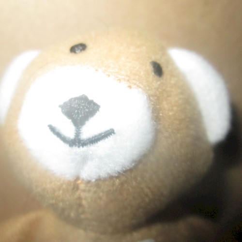 Teddy Bear Song