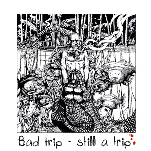 Bad trip - still a trip