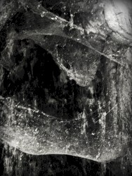Novit enim Dominus qui sunt eius