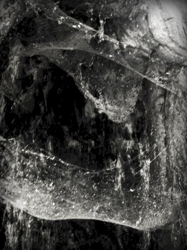 Novit enim Dominus qui sunt eius