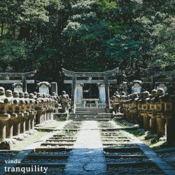 Tranquility