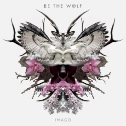 Imago