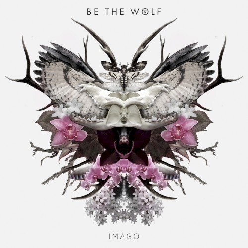 Imago