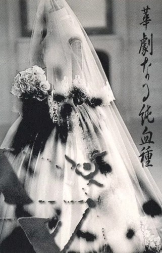 華劇なる純血種